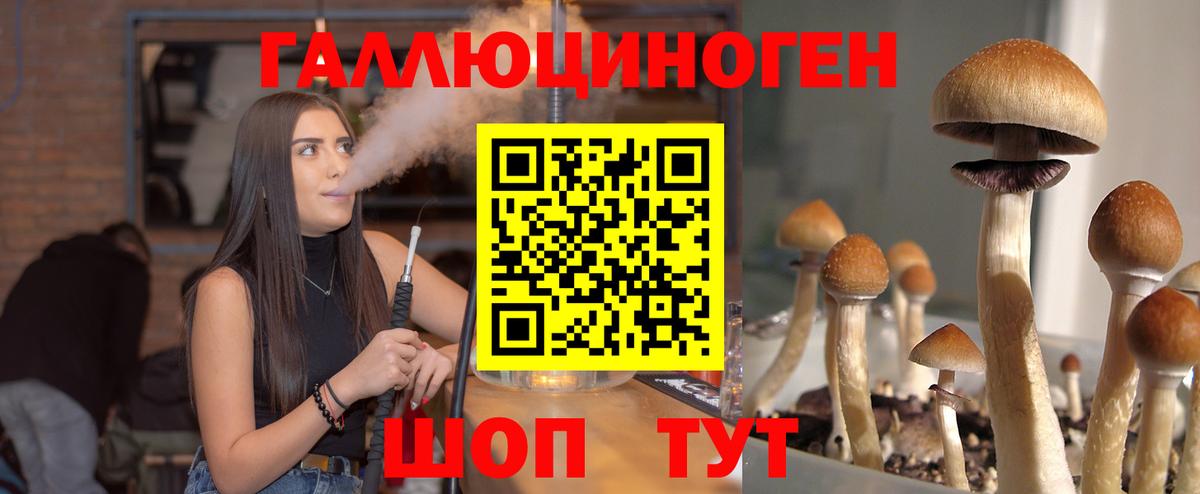 Галлюциногенные грибы мухоморы  Вход с VPN  Кумертау  Галлюциногенные грибы мухоморы 