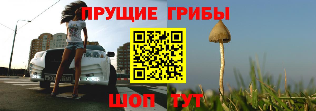 Галлюциногенные грибы мицелий Кумертау